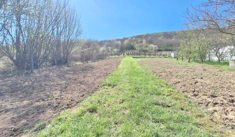 Sale Cottage, Cottage, Nové Zámky, Slovakia