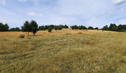 Sale Agrarian and forest land, Agrarian and forest land, Žiar nad Hron