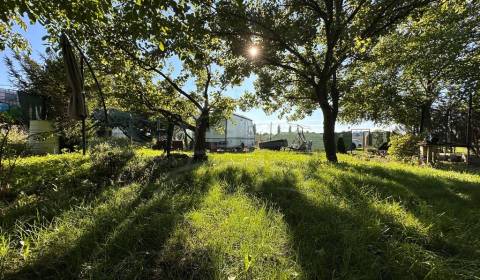 Sale Gardens, Gardens, Nové Zámky, Slovakia