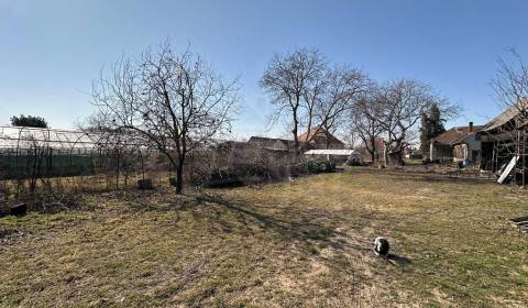 Sale Land – for living, Land – for living, Komárno, Slovakia