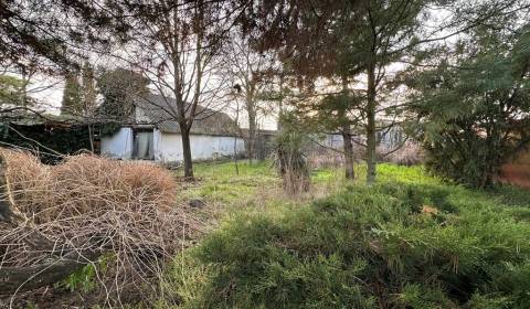 Sale Family house, Family house, Komárno, Slovakia