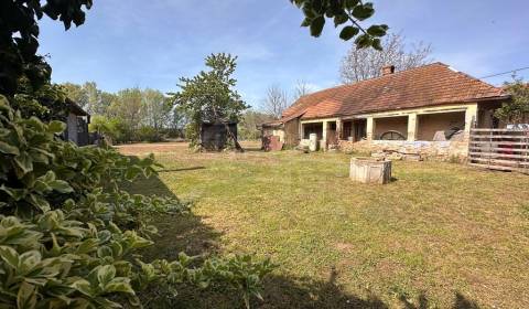 Sale Family house, Family house, Nové Zámky, Slovakia