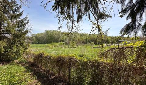 Sale Gardens, Gardens, Nové Zámky, Slovakia