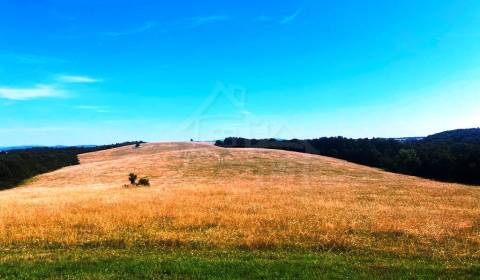 Sale Family house, Family house, Krupina, Slovakia