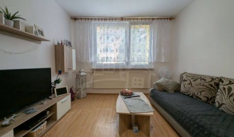 Sale One bedroom apartment, One bedroom apartment, Medzilaborce, Slova
