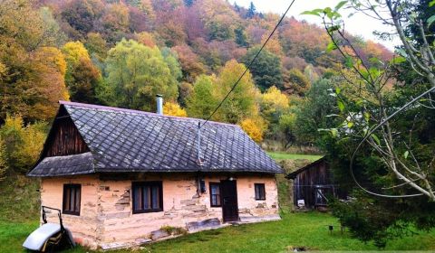 Sale Family house, Family house, Sabinov, Slovakia