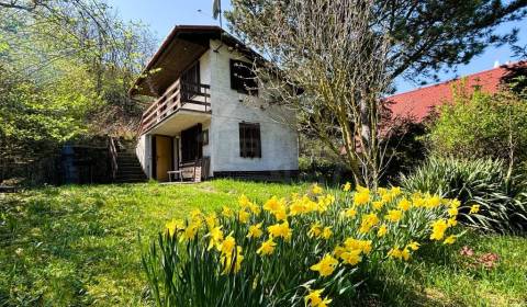 Sale Cottage, Cottage, Malacky, Slovakia