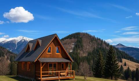 Searching for Family house, Family house, Banská Bystrica, Slovakia