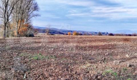 Sale Gardens, Gardens, Zvolen, Slovakia