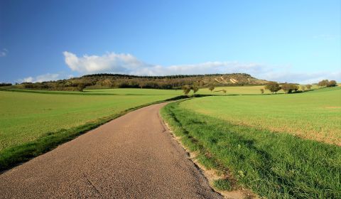 Sale Agrarian and forest land, Agrarian and forest land, intravilán, T