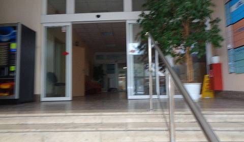 Rent Offices, Offices, Pluhova, Bratislava - Nové Mesto, Slovakia