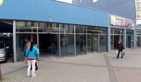 Rent Commercial premises, Commercial premises, Obchodná, Topoľčany, Sl