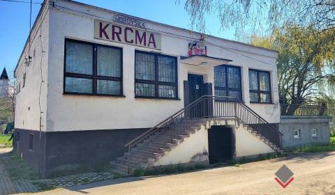 Sale Commercial premises, Commercial premises, Tichá, Topoľčany, Slova