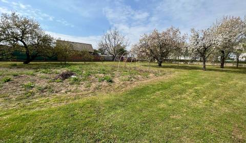 Sale Land – for living, Topoľčany, Slovakia