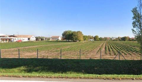 Sale Land – for living, Land – for living, Novozámocká, Nitra, Slovaki