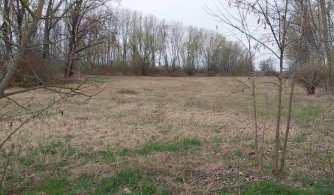 Sale Land – for living, Land – for living, Komárno, Slovakia