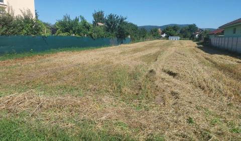 Sale Gardens, Gardens, Nitra, Slovakia
