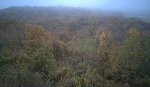 Sale Gardens, Gardens, Nitra, Slovakia