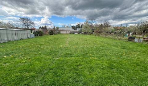 Sale Land – for living, Land – for living, Komenského, Topoľčany, Slov