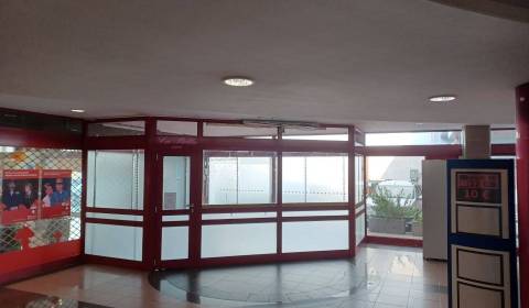 Rent Commercial premises, Commercial premises, Záhradnícka, Bratislava