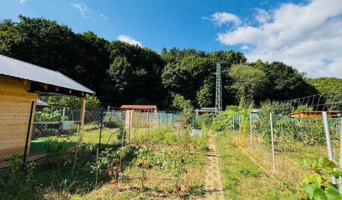 Sale Gardens, Gardens, Partizánske, Slovakia