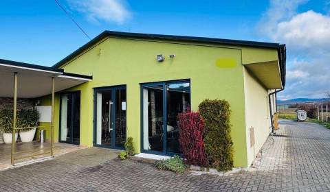 Sale Gastro premises, Gastro premises, n, Partizánske, Slovakia