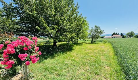 Sale Land – for living, Land – for living, Baštín, Partizánske, Slovak