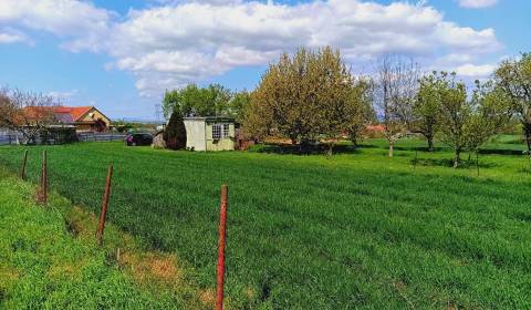 Sale Land – for living, Land – for living, Baštín, Partizánske, Slovak