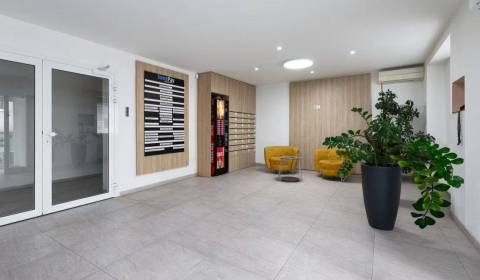 Rent Offices, Offices, Koceľova, Bratislava - Ružinov, Slovakia