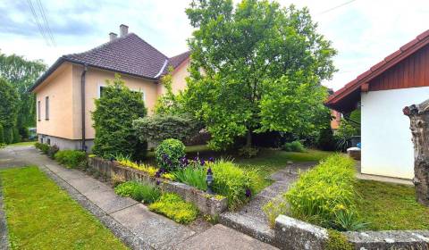 Sale Family house, Family house, Dolné Chlebany, Topoľčany, Slovakia
