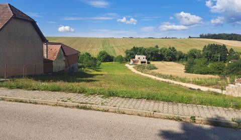 Sale Agrarian and forest land, Agrarian and forest land, Bánovce nad B