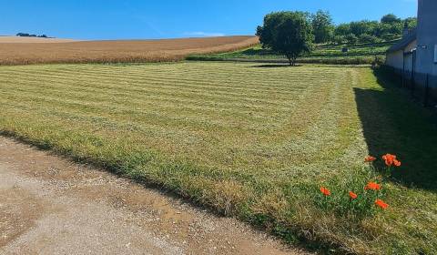 Sale Agrarian and forest land, Agrarian and forest land, Bánovce nad B
