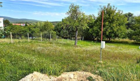 Sale Land – for living, Land – for living, Topoľčany, Slovakia