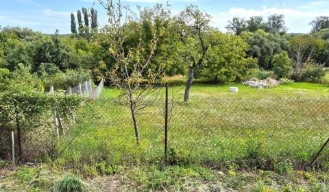 Sale Land – for living, Land – for living, Topoľčany, Slovakia