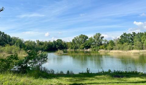 Sale Family house, Family house, Kalinkovo, Senec, Slovakia