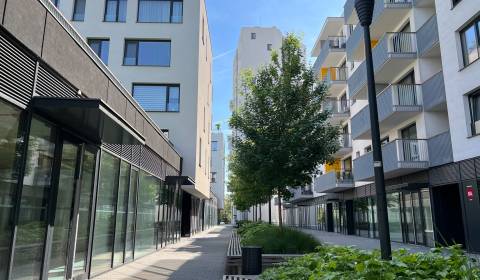 NIVY/JARABINKY - commercial space on the pedestrian zone for rent