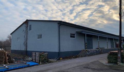Rent Commercial premises, Commercial premises, Veľké Bielice, Partizán