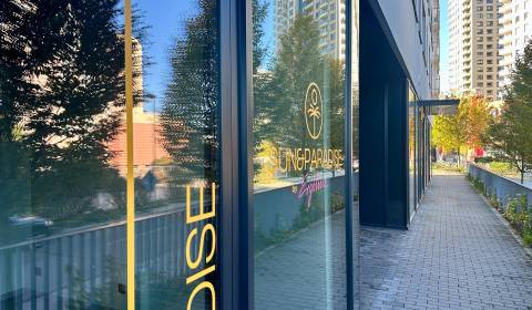 Rent Commercial premises, Commercial premises, Jarabinková, Bratislava