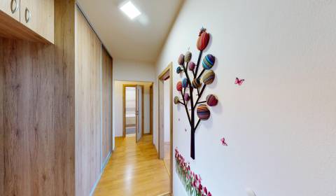 Sale Two bedroom apartment, Two bedroom apartment, E. M. Šoltésovej, S