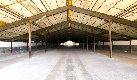 Sale Storehouses and Workshops, Storehouses and Workshops, Galanta, Sl