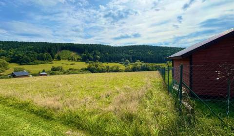 Sale Agrarian and forest land, Agrarian and forest land, Trenčín, Slov