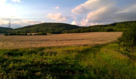 Sale Agrarian and forest land, Agrarian and forest land, Košice-okolie