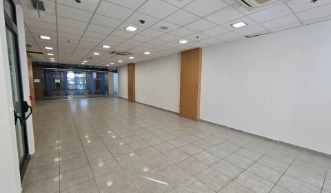 Rent Commercial premises, Commercial premises, Hodská, Galanta, Slovak