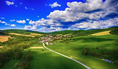 Sale Agrarian and forest land, Agrarian and forest land, Medzilaborce,