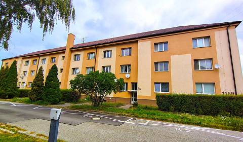 Rent One bedroom apartment, One bedroom apartment, Fučíkova, Skalica, 