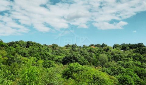 Sale Agrarian and forest land, Agrarian and forest land, Žarnovica, Sl