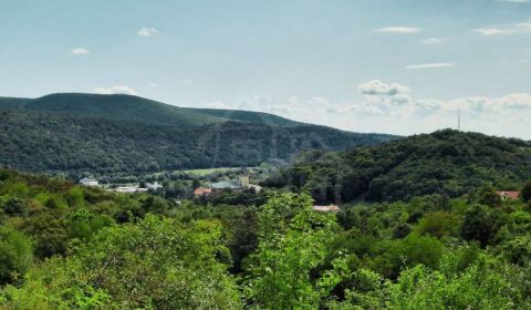 Sale Agrarian and forest land, Agrarian and forest land, Žarnovica, Sl
