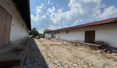 Sale Storehouses and Workshops, Storehouses and Workshops, Nekrasova, 
