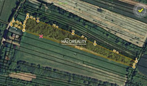 Sale Agrarian and forest land, Levice, Slovakia