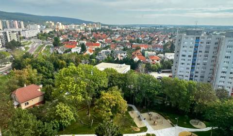 3 room apartment, complete refurbished with kitchen, loggia, cellar